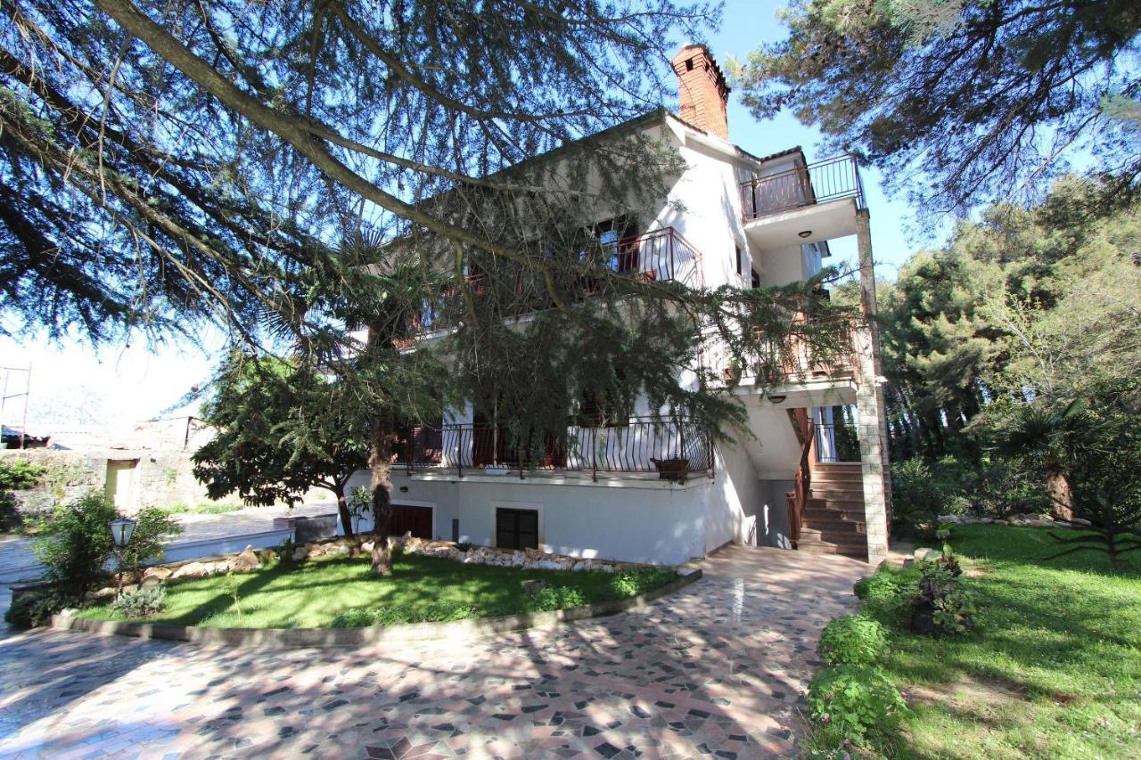 Apartment Clementina *
